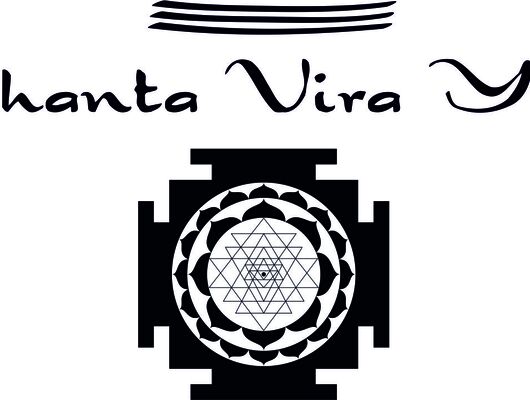 Shanta Vira Yoga with Michael Stewart - Manual Adjustments and Community