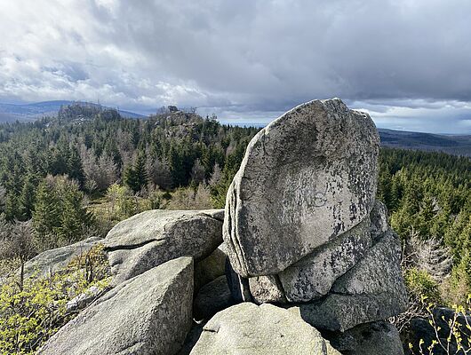 Frühlingserwachen - Für Sportlich Aktive! - Bildungsurlaub in SA, HB, B & NRW - Mit Präventionszuschuss! Frühlingserwachen - Für Sportlich Aktive! - Bildungsurlaub in SA, HB, B & NRW - Mit Präventionszuschuss!