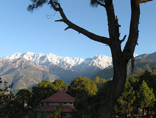 Reiki Einweihung Grad I Reiki Einweihung Grad I