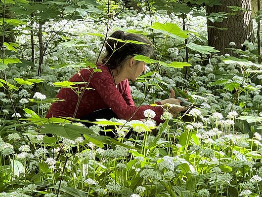 Bildungsurlaub - Buchingerfasten - Mit Kräuterwanderungen Bildungsurlaub - Buchingerfasten - Mit Kräuterwanderungen