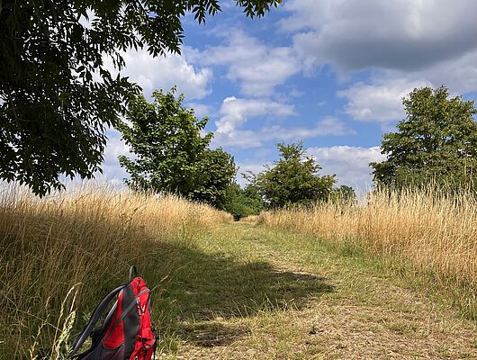 Sommer, Sonne, Leichtigkeit Buchingerfasten mit Claudia Messerschmidt Sommer, Sonne, Leichtigkeit Buchingerfasten mit Claudia Messerschmidt