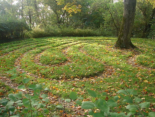 Achtsames Fasten im Herbst - Bildungsurlaub in SA, HB, B & NRW - Mit Präventionszuschuss! Achtsames Fasten im Herbst - Bildungsurlaub in SA, HB, B & NRW - Mit Präventionszuschuss!